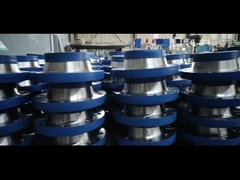 টাইটানিয়াম ফ্ল্যাঞ্জ